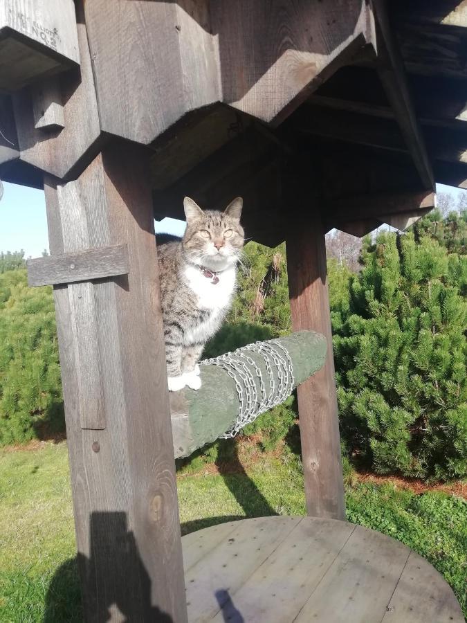 Willa Eko Oaze Pērkone Zewnętrze zdjęcie