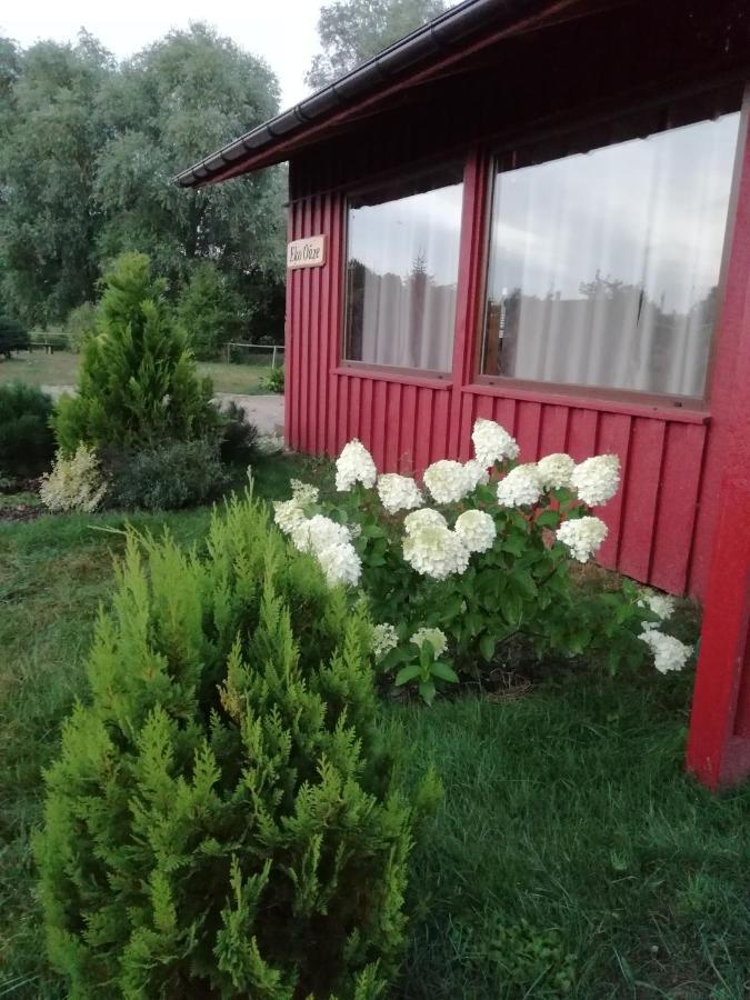 Willa Eko Oaze Pērkone Zewnętrze zdjęcie
