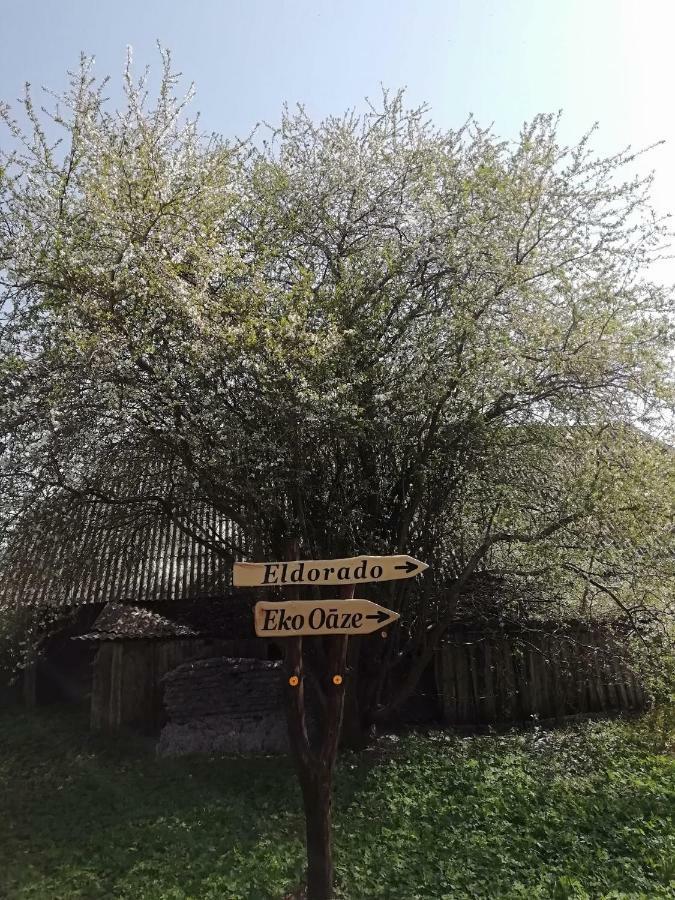 Willa Eko Oaze Pērkone Zewnętrze zdjęcie